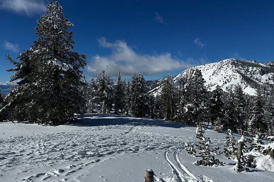 Tour image 7