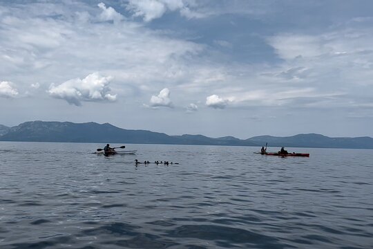 Tour image 4